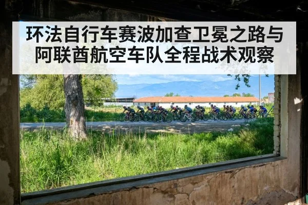 环法自行车赛波加查卫冕之路与阿联酋航空车队全程战术观察